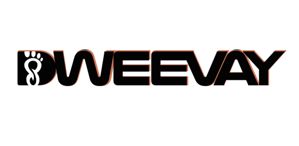 Dweevay Artist